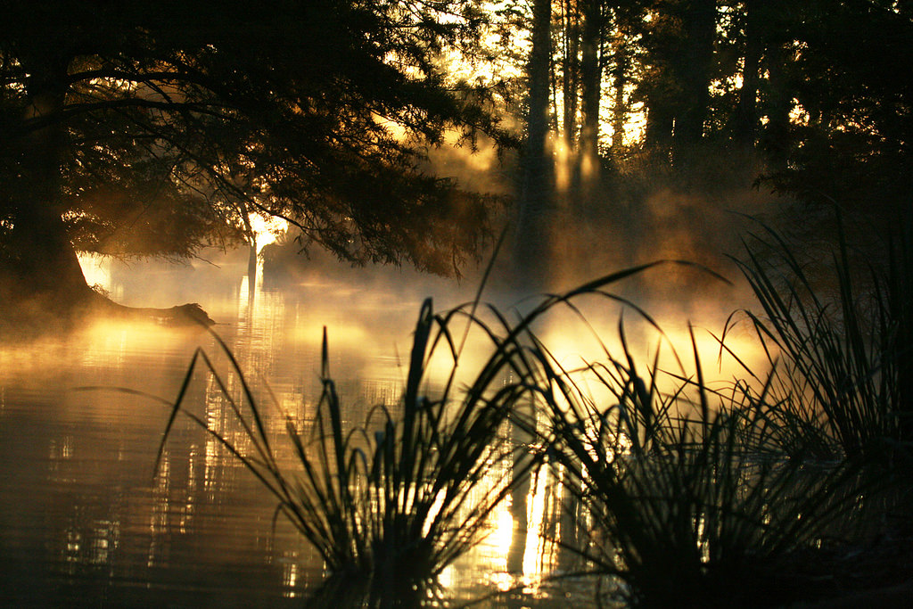 Top 10 Scenic Drives in Mississippi YourMechanic Advice